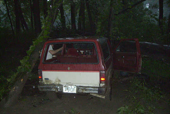 Jammed between a couple of trees