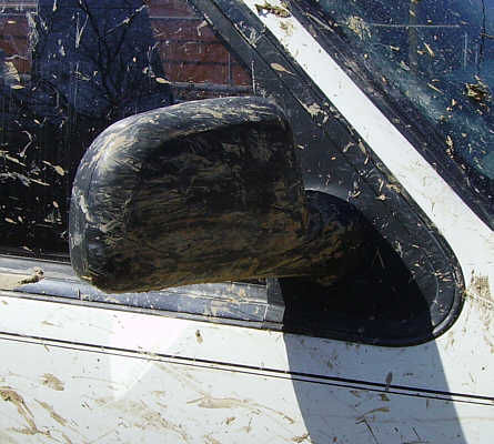 The Ho - Normal wing mirror