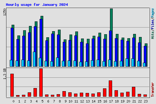 Hourly usage for January 2024
