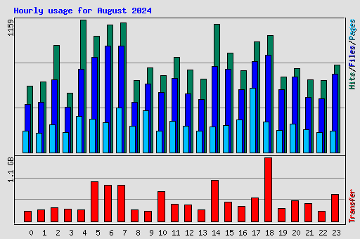 Hourly usage for August 2024
