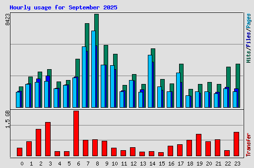 Hourly usage for September 2025