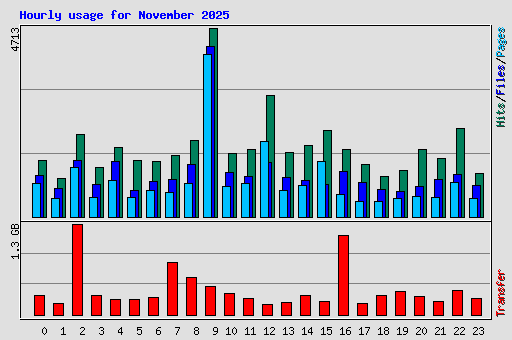Hourly usage for November 2025