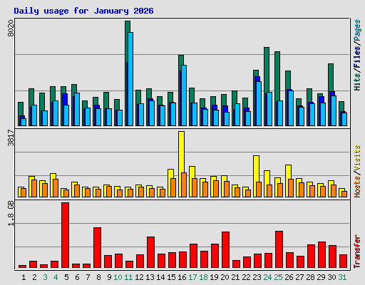 Daily usage for January 2026