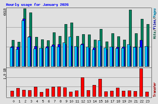Hourly usage for January 2026